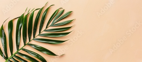 Flat lay with a tropical vi...