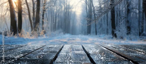 Blur winter forest backgrou...