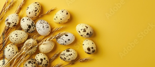 Quail eggs arranged in an e...