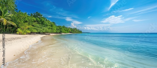 Scenic tropical beach durin...