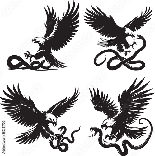 Bald eagle flying and attack snake vector silhouette illustration isolated on white background. Eagle soaring with spread wings. Food chain, predator hunter catch a prey. Animal wildlife nature scene.