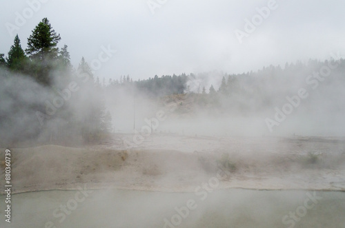 Black Dragons Cauldron Mud Volcano Area, Hazy Thermal Features and Pine Forests at Yellowstone National Park