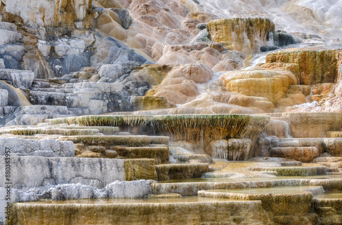 Palette Springs. Devils thumb at the Mammoth Hot Springs. Yellowstone National Park. Wyoming. USA