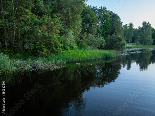lake in the forest