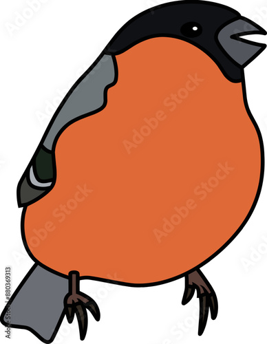 Bullfinch, a species of sparrow, drawn with black lines