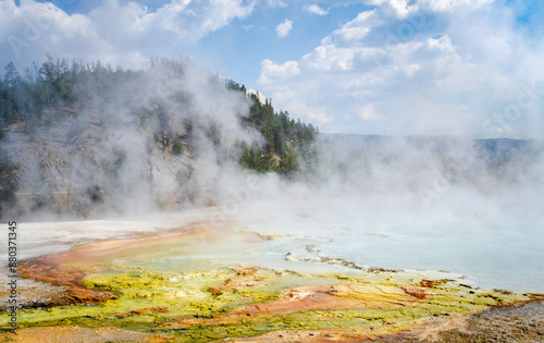 White silica-rich sinter on the Ground by the Hydrothermal Waters at Yellowstone National Park at Midway Geyser Basin