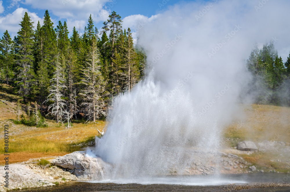 Riverside Geyser at Yellowstone National Park Riverside Geyser at Yellowstone National Park