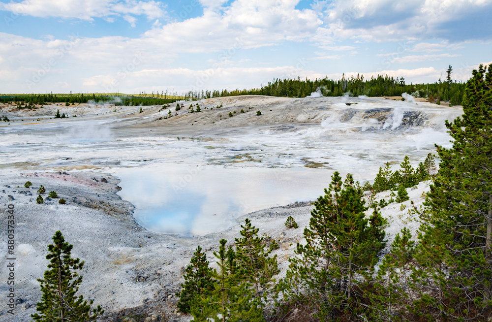 Porcelain Basin Trail at Norris Geyser Basin with White silica-rich sinter on the Ground by the Hydrothermal Waters at Yellowstone National Park Porcelain Basin Trail at Norris Geyser Basin with White silica-rich sinter on the Ground by the Hydrothermal Waters at Yellowstone National Park