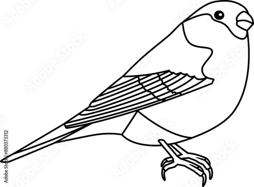 Side illustration of a bullfinch drawn with black lines