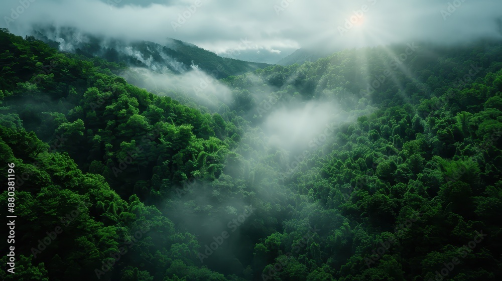 Lush Green Forest with Mist and Sun Rays Breaking Through Clouds in a Serene Mountain Landscape Lush Green Forest with Mist and Sun Rays Breaking Through Clouds in a Serene Mountain Landscape