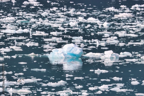 Yakutat Bay, Alaska photo