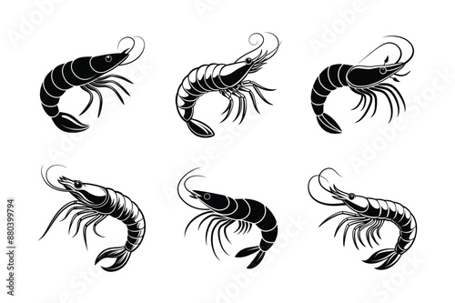 set of Shrimp Sihouette vector icon. Sea food logo, sign, symbol. Sea Caridea animal. Prawn black silhouette. Crustacean with curly feelers isolated on whit