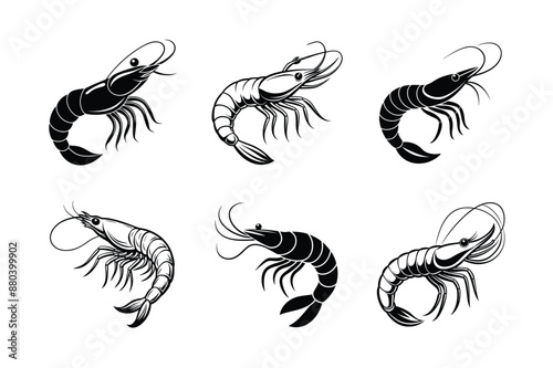 set of Shrimp Sihouette vector icon Sea food logo, sign, Sea Caridea animal. Prawn black silhouette. Crustacean with curly feelers isolated on white
