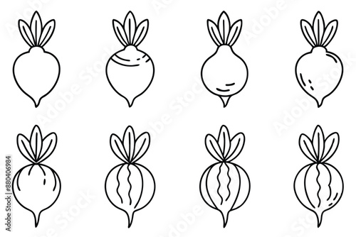 Beetroot Beauty line art dynamic expressive illustration