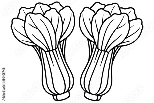 Bok Choy line art captivating vegetable illustration