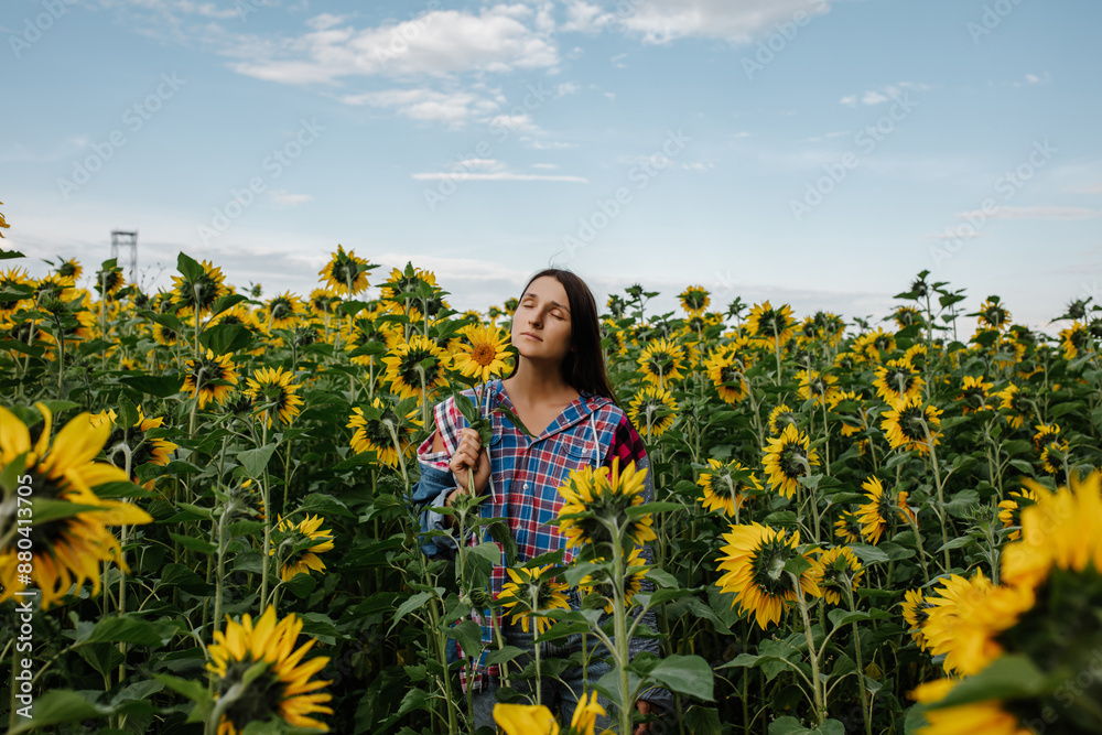 Woman is alone, free and happy in a field of sunny sunflowers Woman is alone, free and happy in a field of sunny sunflowers