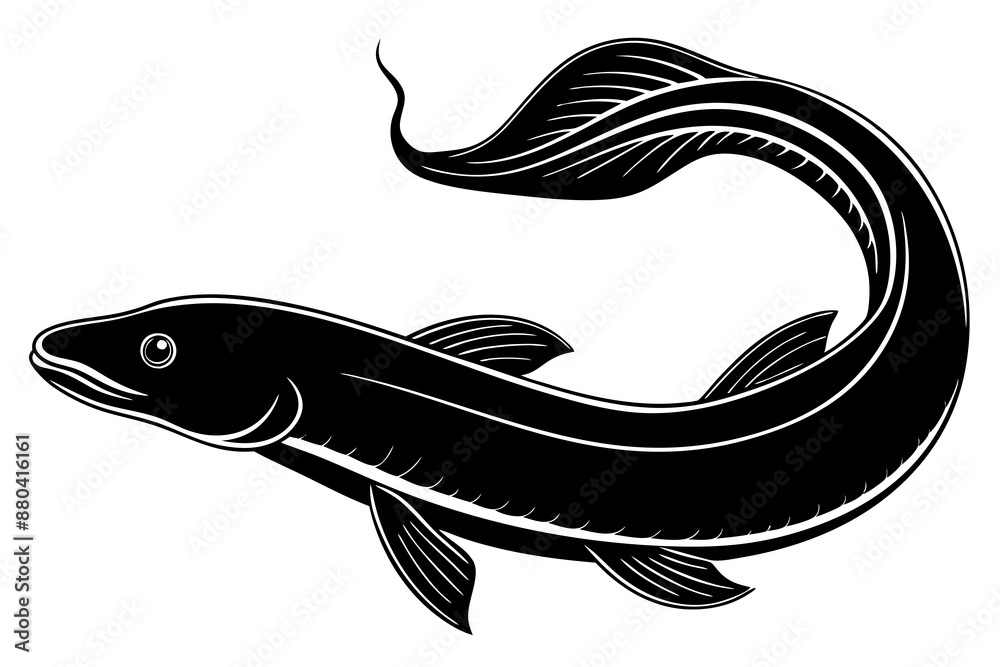 Eel fish silhouette vector, Silhouette of a eel fish on white background
Eel fish silhouette vector, Silhouette of a eel fish on white background