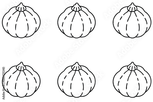 Jicama line art fresh root vegetable