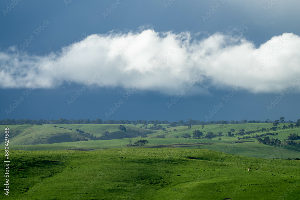 beautiful farming landscape in australia with green rolling hills in spring beautiful farming landscape in australia with green rolling hills in spring