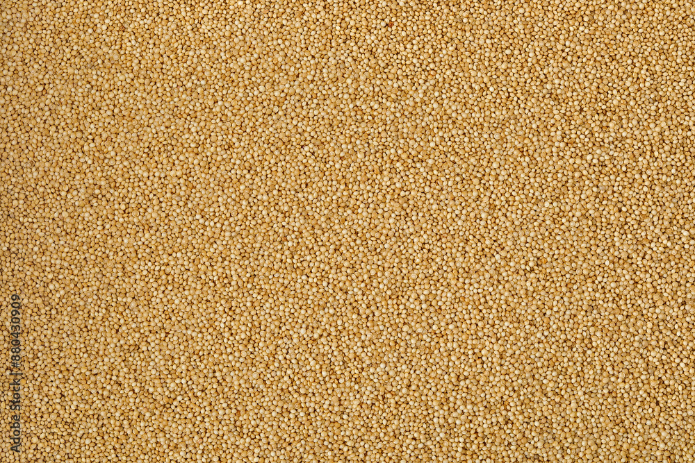 Amaranth grain seeds isolated as a background. Top view. Flat lay Amaranth grain seeds isolated as a background. Top view. Flat lay