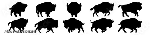 Buffalo silhouettes set, pack of vector silhouette design, isolated background