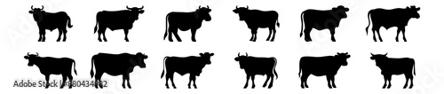 Cow silhouettes set, pack of vector silhouette design, isolated background