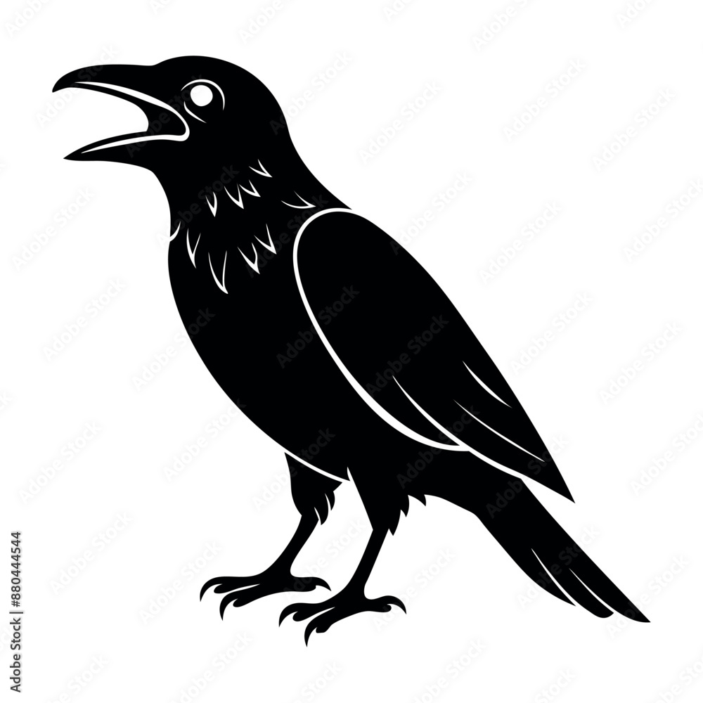 Fototapeta premium crow bird screams vector illustration