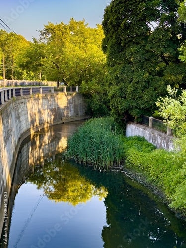 A serene urban canal surrounded by lush greenery and reflective water, showcasing a harmonious blend of nature and cityscape. Perfect for environmental and city-themed projects