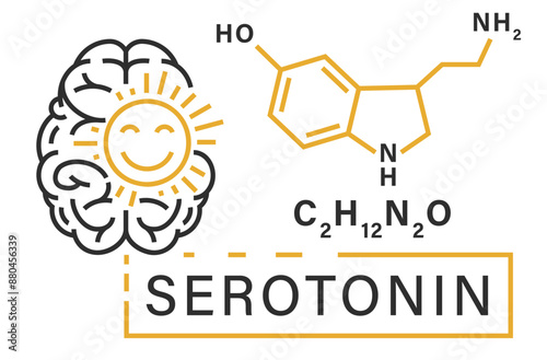 Serotonin poster, banner in outline style. Mood stabilizer sign.