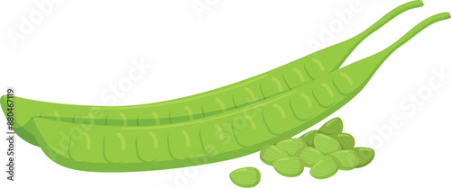 Flat vector Bitter Bean EPS