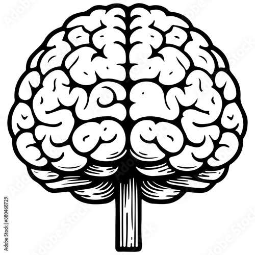 Black cartoon brain drawing, realistic hand drawing line art, pencil sketch, isolated