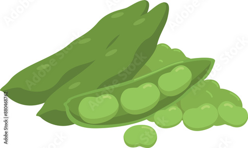 Flat vector Lima Bean EPS