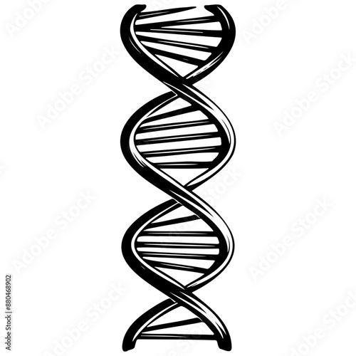 Black dna black hand drawn line illustration, transparent background