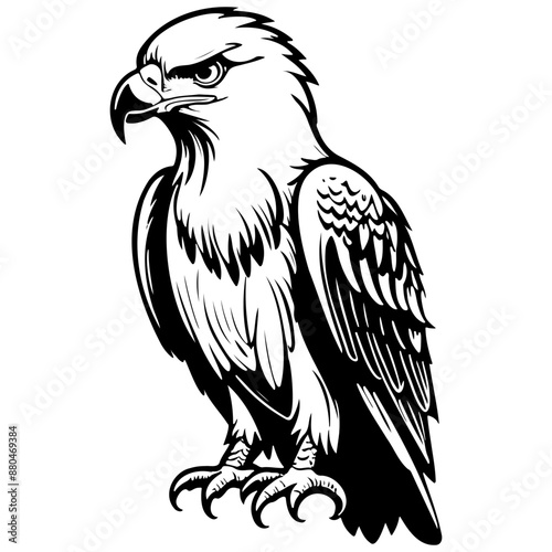 cartoon eagle drawing, vintage line illustration, vector image