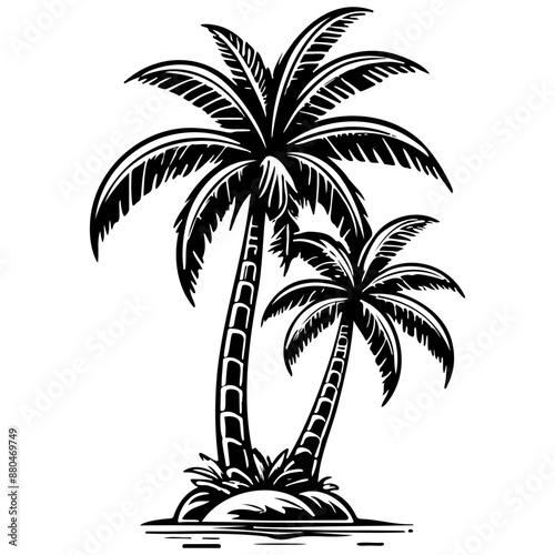 cartoon palm tree realistic, ink sketch of black silhouette outline, transparent background
