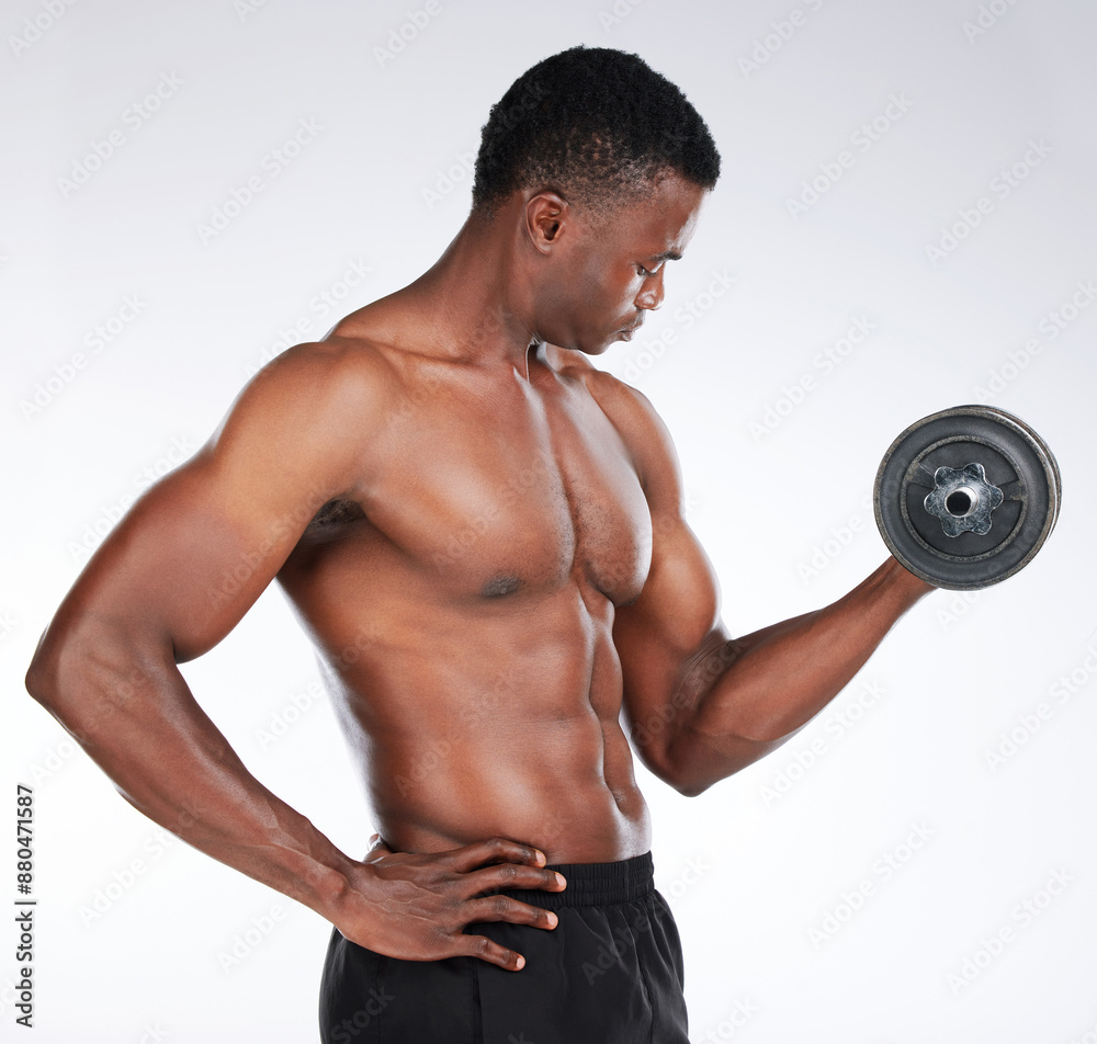Studio, black man and training with dumbbell for bicep, strong arm and muscle power with fitness. Bodybuilder, workout and exercise with weight lifting, heavy equipment and pride by white background Studio, black man and training with dumbbell for bicep, strong arm and muscle power with fitness. Bodybuilder, workout and exercise with weight lifting, heavy equipment and pride by white background