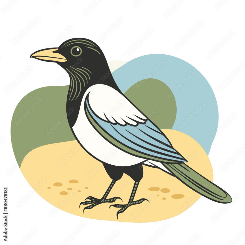 Fototapeta premium Magpie Bird Color Vector for various uses