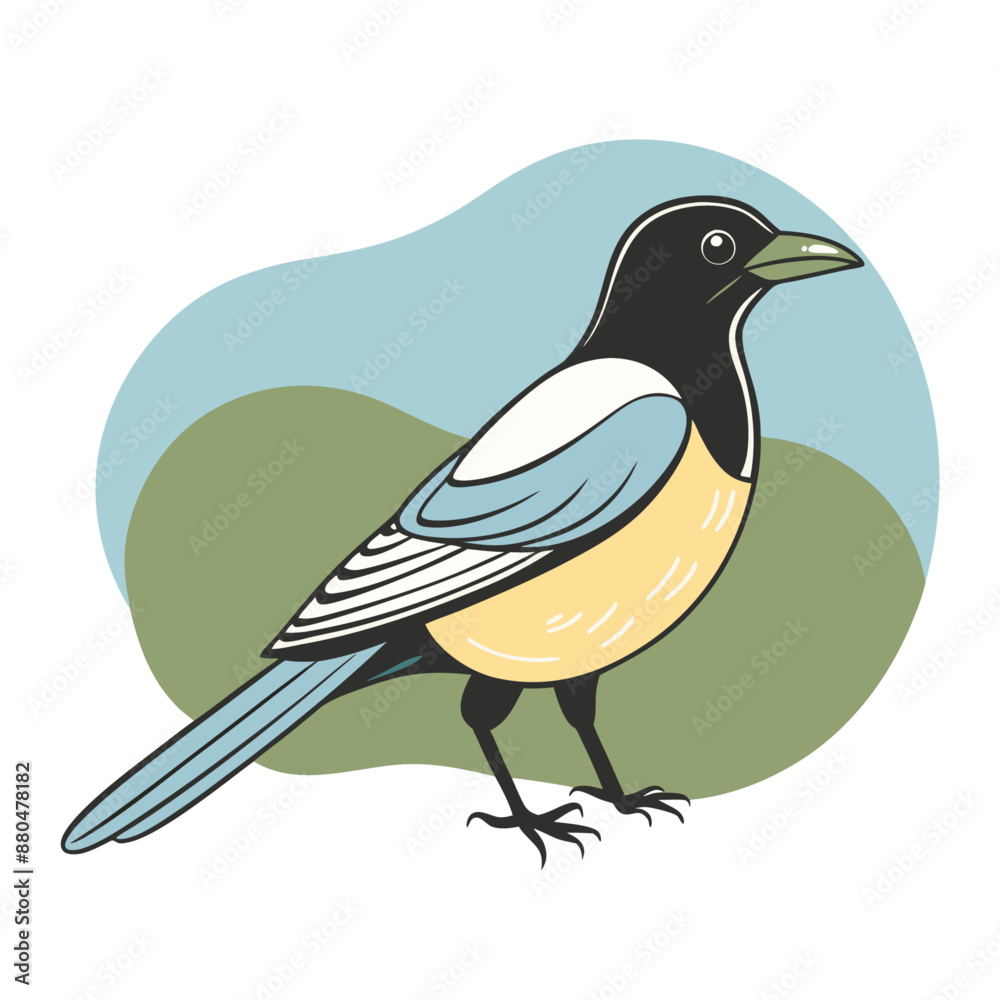 Obraz premium Magpie Bird Color Vector for various uses