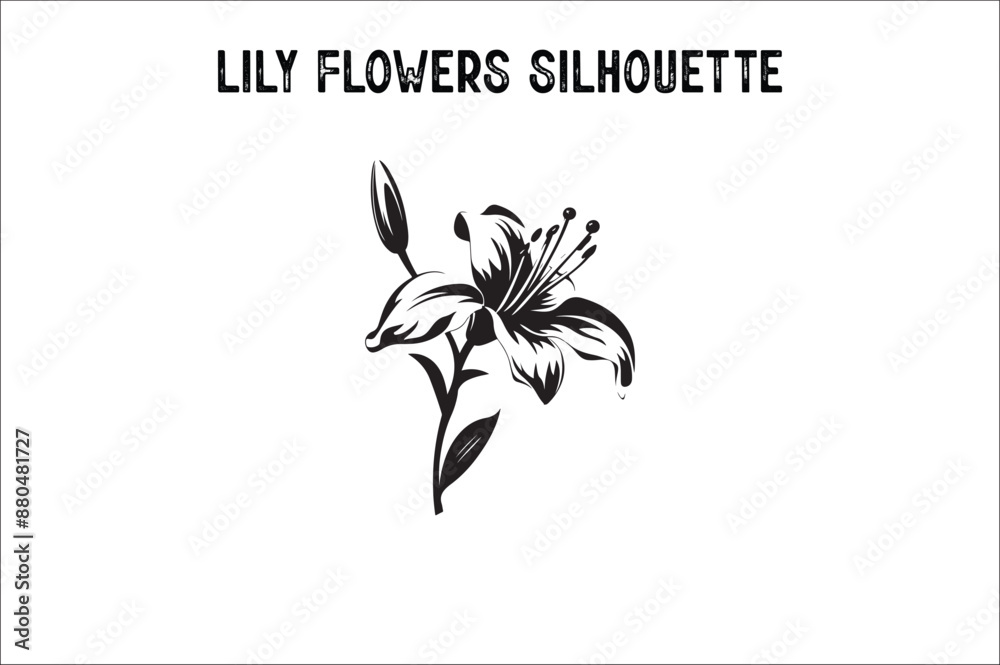 Lily flowers silhouette vector isolated on a white background. Lily flowers silhouette. Lily flowers silhouette vector isolated on a white background. Lily flowers silhouette.