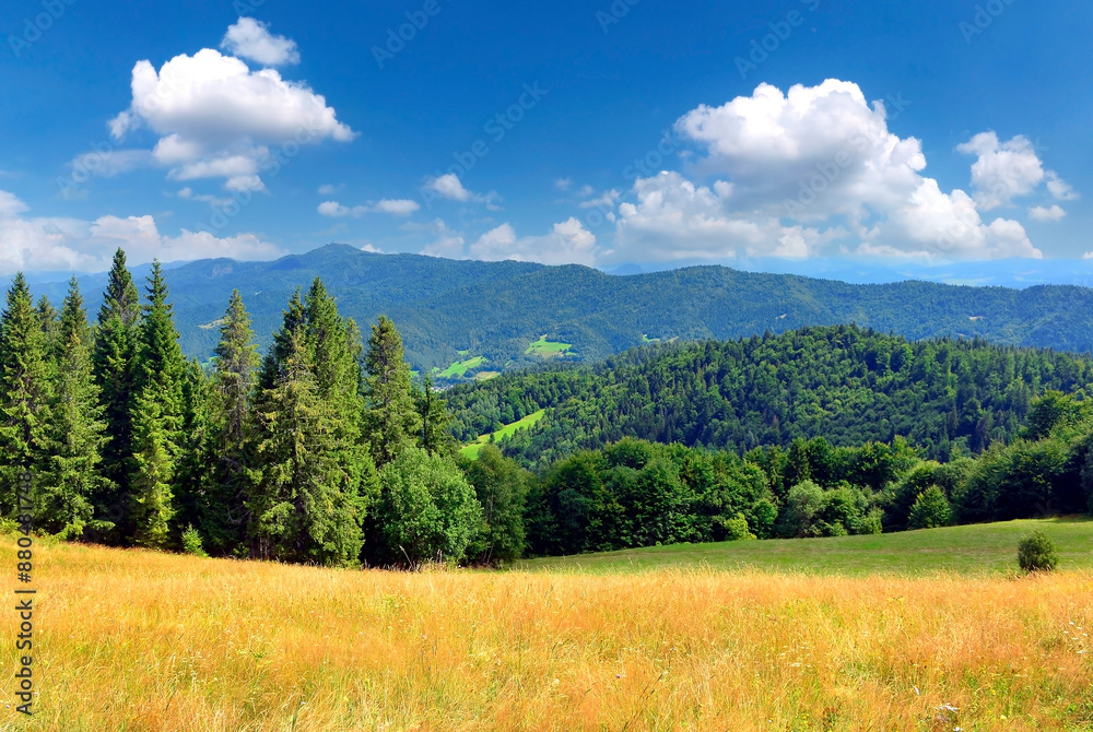 Wonderful countryside landscape of carpathians. Meadow on a sunny day in mountains. Fluffy clouds on the sky. View of the Luban range in the Gorce Mountains, Poland. Wonderful countryside landscape of carpathians. Meadow on a sunny day in mountains. Fluffy clouds on the sky. View of the Luban range in the Gorce Mountains, Poland.