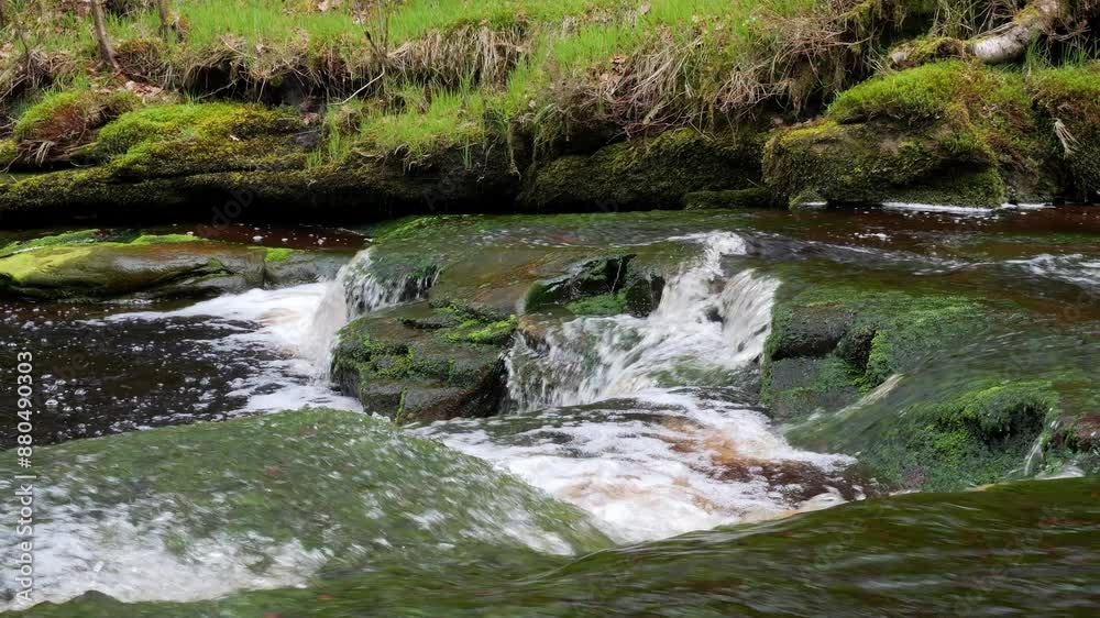 Slow moving forest stream waterfall, nature's serenity scene with tranquil pool below, lush greenery and moss-covered stones, sense of peacefulness and untouched beauty of nature in forest ecosystem Slow moving forest stream waterfall, nature's serenity scene with tranquil pool below, lush greenery and moss-covered stones, sense of peacefulness and untouched beauty of nature in forest ecosystem