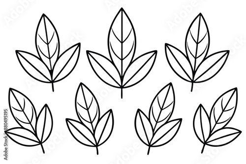 Sage Leaf line art stunning minimalist nature artwork