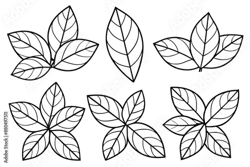 Rhododendron Leaf line art simple elegant nature inspired design