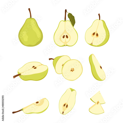 Raw green pear fruit. Ripe whole, half, quarter and slice pear. Simple hand drawn vector isolated on white background.