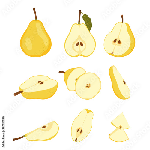 Set with raw yellow pear fruit. Ripe whole, half, quarter and slice pear. Pear blossom and fruits on branch. Simple hand drawn vector isolated on white background.
