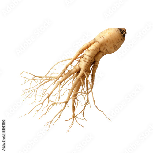 Ginseng