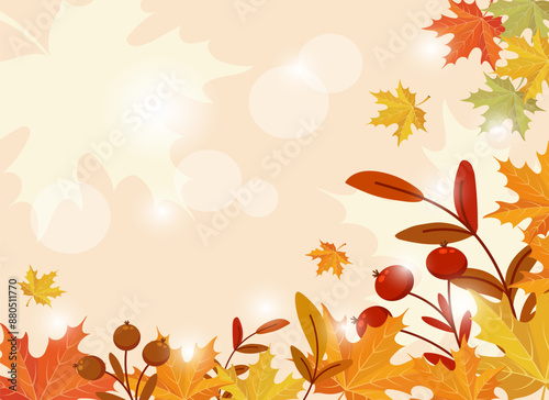 Frame with autumn maple leaves and rowan branches on a light background with sun reflections. Autumn illustration, vector