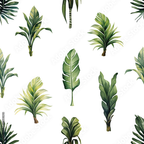 Watercolor set with palm trees and leaves floral plants elements