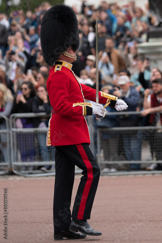 Canvas Print Buckingham royal guard