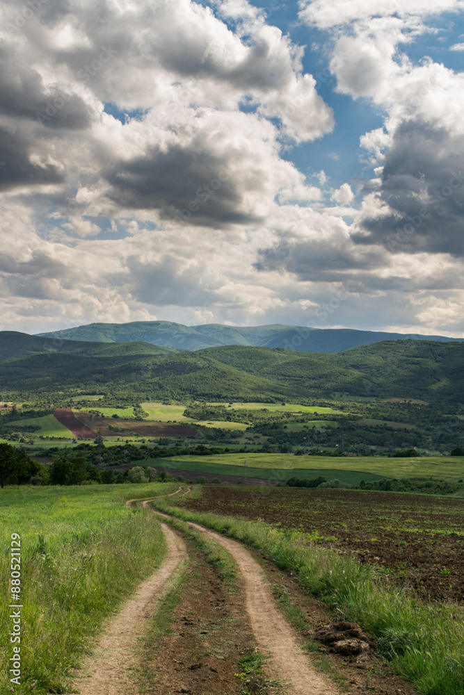 Fototapeta premium road to the sky
